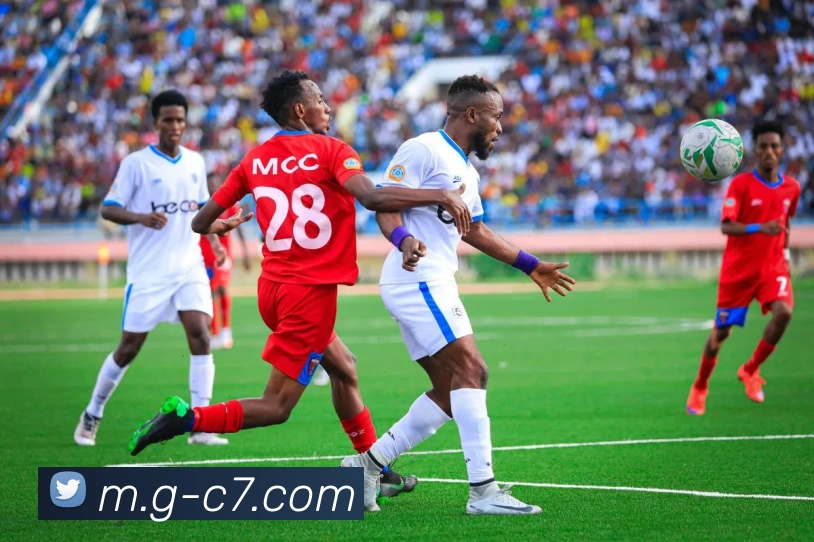 c7娱乐平台生态图